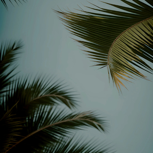 真人69式互添视频
